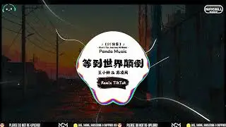 王小帅 & 苏凌风 - 等到世界颠倒 (抖音DJ版) Deng Dao Shi Jie Dian Dao『等到世界顛倒，你會來愛我，等到五個季節。』【動態歌詞｜Pinyin Lyrics】