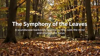 The Symphony of the Leaves | Scientifically engineered soundscapes to enhance sleep & deep focus