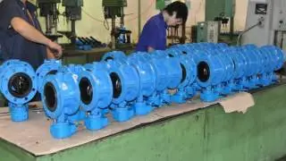 Flange Butterfly Valve size