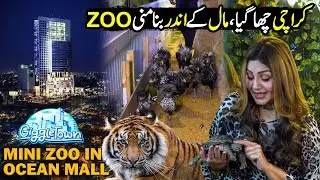 Exploring The Most Unique Place of Karachi Giggle Town, Mini Zoo & Giggle Farm | Hello Karachi