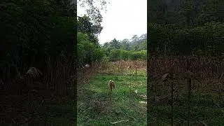 Close-range measurement experiment