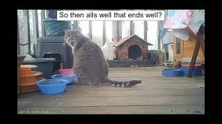 Emma's Animals 70 - Unintentional Hurt Feelings