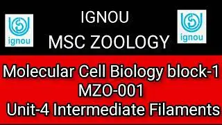 IGNOU| MSC ZOOLOGY| Molecular Cell Biology block-1| MZO-001| Unit-4 Intermediate Filaments|#piyara1