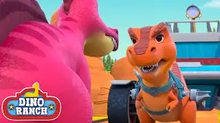 Enfrentamiento de dinosaurios| Dino Ranch Español