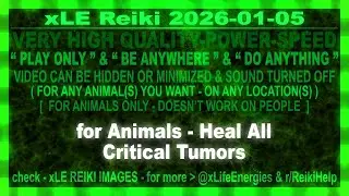 xLE Reiki | for Animals - Heal All Critical Tumors