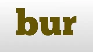 bur meaning and pronunciation
