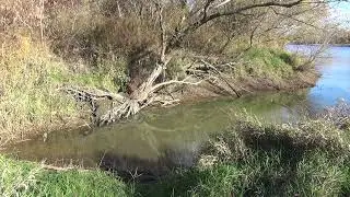 Wisła, Połaniec.