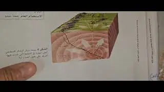 هيكل علوم كتابي.. ثامن ف3.. 2024.2025..أ.محمد ميرة