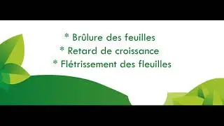 SPOT NANO 6 Coop&eacute;rative semence de VIE en 2021