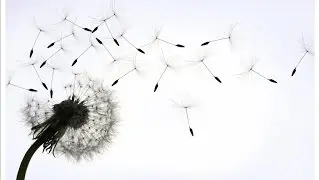 Why Some Young People Die Unexpectedly