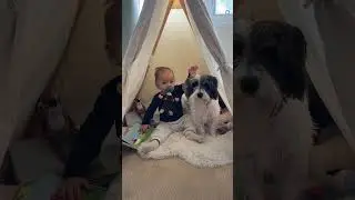 Playroom Must Have - Play Tent