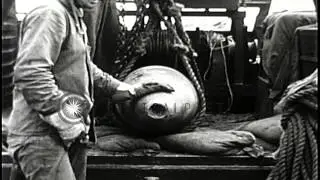 Soldiers put unexploded shell into bomb disposal truck and go in Iwo Jima, Tokyo,...HD Stock Footage