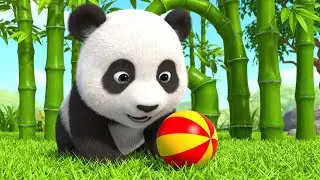 Where Did Baby Panda Roll the Tiny Ball | Funny Toddler Song | Kids Rhymes