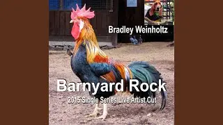 Barnyard Rock (Live)