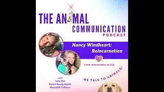 Animal Reincarnation with Nancy Windheart