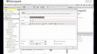 Digital Asset Management: Digital Asset Mailing via Picturepark DAM