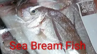 Cleaning of Sea Bream Fish (Madai Fish)before freezer storage. #myway #fishcleaning