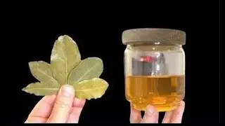BOOST IMMUNITY, IMPROVE DIGESTION & METABOLISM