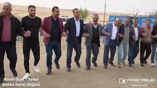 Alican Üçak - Silvan Salıka Köyü Badıka Aşiret Düğünü Ferhat Parlak Fotoğrafçılık