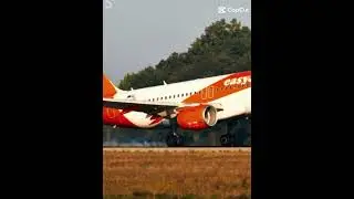 Korean air qatar airways Jetstar easyJet Philippine airlines airfrance