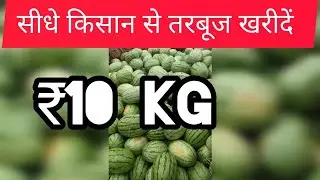 🍉🍉₹10तरबूज खरीदें) सीधे किसान से,🍉🍉 watermelon wholesale in Maharashtra