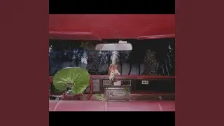 Lava