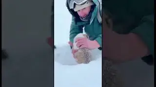 Seconds From Death ❄️🐕 | Man Saves Freezing Dog