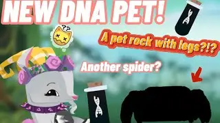 NEW DNA PET! ANOTHER SPIDER&hellip; PET ROCK WITH LEGS?? PINK CLOUDS AJ