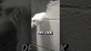Do Basement Sealants Like Flex Seal & Drylok Work? 🚫💧 The Truth Revealed!