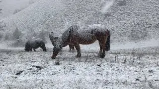 Walking across Barton Hills in the SNOW - 4K