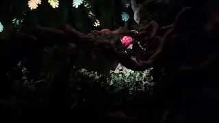 Tokyo Disneyland Splash Mountain Hopping Brer Rabbit (June 2025)