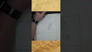 #shorts Fangs, Tattoo, Family Crest & Spaceships | 500 Drawing Prompts