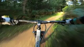 Bird Aeris AM9 first ride
