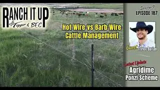 Hot Wire Cattle Management & Agridime Ponzi Scheme News