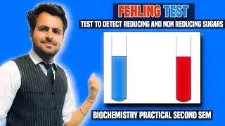 Fehling test for carbohydrates | Fehling solution A and B | test for carbohydrates | reducing sugars