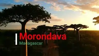 All&eacute;es du baobab and Morondava, West Madagascar highlights