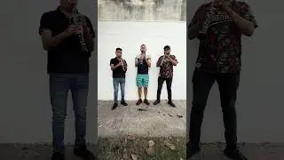 YA TE VI YO YA ME VOY - BANDA TRADICI&Oacute;N SINALOENSE DE RODOLFO ACOSTA #bandatradicionsinaloense