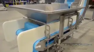 Ever Kleen&reg; Sanitary Incline Conveyor for Bulk Products