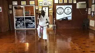 KARATE TRAINING KYOSHI ANTHONY FERGUSON PERFORM KATA SAI ICHI