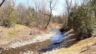 2020.04.20 South Richvale Greenway