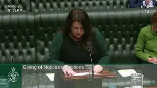Standing Up for Road Safety at the Bruxner Intersection - Notice of Motion