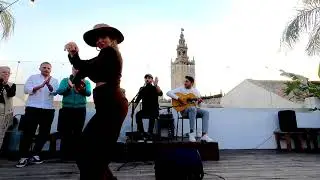 -FIN DE FIESTA-