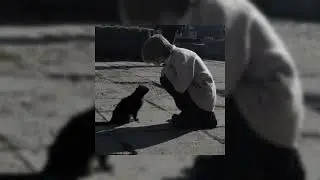 t.A.T.u. - Мальчик-гей (speed up)