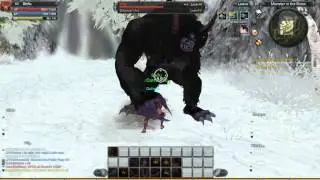 [Wild RaiderZ] Viva Solo ( Berserker LvL 50)