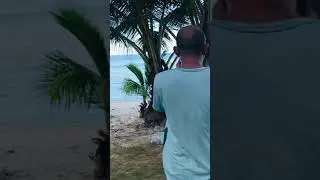 The beautiful beaches of Governor Generoso, Davao Oriental