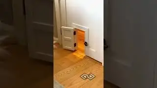 Re-sharing the Lego room doggie door because it&rsquo;s fun and cute 😉#cute #cuteanimals #customdoor