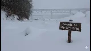 Still Video - Winter Silence: Edmonton&rsquo;s High Level Bridge in a Blizzard ❄️