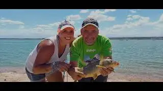 Harinado cebo carpero tú compañero de pesca hermosa pesca de carpas en el carrizal Mendoza 