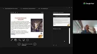 Sex & Gender Orienteering TRANSIT
