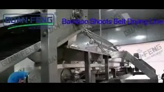 GUANFENG Bamboo shoots belt drying line